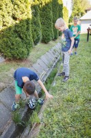 dzien-dziecka-w-lekach-dolnych.jpg
