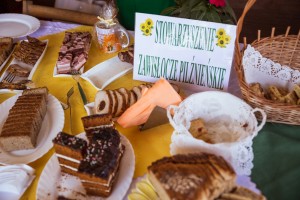 piknik-integracyjny-w-parkoszu.jpg
