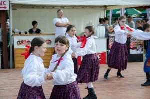 swieto-golonki-podkarpackiej-z-pilzna-2016.jpg