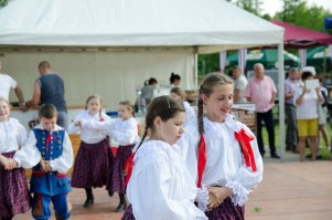 swieto-golonki-podkarpackiej-z-pilzna-2016.jpg