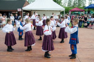 swieto-golonki-podkarpackiej-z-pilzna-2016.jpg
