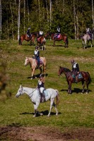 mistrzostwa-polski-juniorow-trec-pttk-i-final-podkarpackiego-pucharu-trec-pttk.jpg