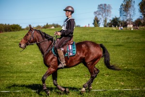 mistrzostwa-polski-juniorow-trec-pttk-i-final-podkarpackiego-pucharu-trec-pttk.jpg