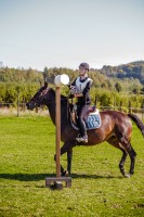 mistrzostwa-polski-juniorow-trec-pttk-i-final-podkarpackiego-pucharu-trec-pttk.jpg