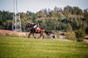 mistrzostwa-polski-juniorow-trec-pttk-i-final-podkarpackiego-pucharu-trec-pttk.jpg