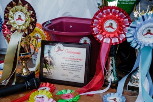 mistrzostwa-polski-juniorow-trec-pttk-i-final-podkarpackiego-pucharu-trec-pttk.jpg