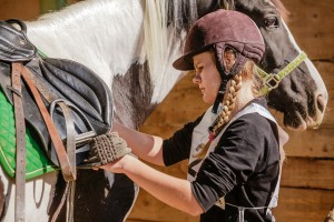 mistrzostwa-polski-juniorow-trec-pttk-i-final-podkarpackiego-pucharu-trec-pttk.jpg