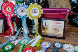mistrzostwa-polski-juniorow-trec-pttk-i-final-podkarpackiego-pucharu-trec-pttk.jpg