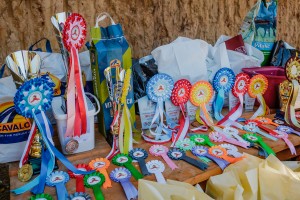 mistrzostwa-polski-juniorow-trec-pttk-i-final-podkarpackiego-pucharu-trec-pttk.jpg