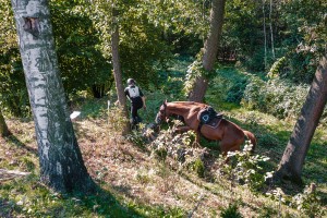 mistrzostwa-polski-juniorow-trec-pttk-i-final-podkarpackiego-pucharu-trec-pttk.jpg