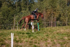 mistrzostwa-polski-juniorow-trec-pttk-i-final-podkarpackiego-pucharu-trec-pttk.jpg