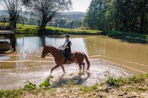 mistrzostwa-polski-juniorow-trec-pttk-i-final-podkarpackiego-pucharu-trec-pttk.jpg