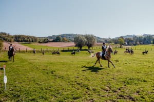 mistrzostwa-polski-juniorow-trec-pttk-i-final-podkarpackiego-pucharu-trec-pttk.jpg