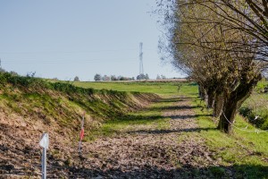 mistrzostwa-polski-juniorow-trec-pttk-i-final-podkarpackiego-pucharu-trec-pttk.jpg