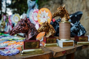 mistrzostwa-polski-juniorow-trec-pttk-i-final-podkarpackiego-pucharu-trec-pttk.jpg