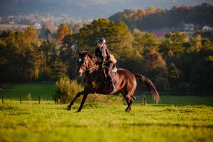 mistrzostwa-polski-juniorow-trec-pttk-i-final-podkarpackiego-pucharu-trec-pttk.jpg