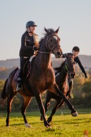 mistrzostwa-polski-juniorow-trec-pttk-i-final-podkarpackiego-pucharu-trec-pttk.jpg