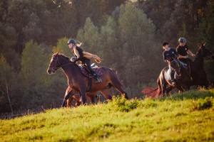 mistrzostwa-polski-juniorow-trec-pttk-i-final-podkarpackiego-pucharu-trec-pttk.jpg