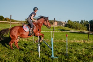 mistrzostwa-polski-juniorow-trec-pttk-i-final-podkarpackiego-pucharu-trec-pttk.jpg