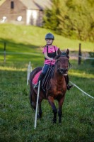 mistrzostwa-polski-juniorow-trec-pttk-i-final-podkarpackiego-pucharu-trec-pttk.jpg