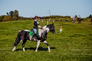mistrzostwa-polski-juniorow-trec-pttk-i-final-podkarpackiego-pucharu-trec-pttk.jpg