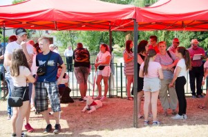 turniej-solectw-2019-cz-1.jpg