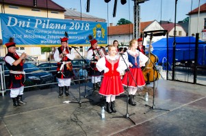 dni-pilzna-2018-sobota-cz-2.jpg