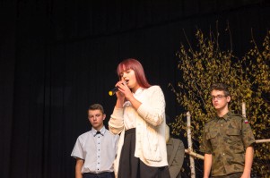 narodowe-swieto-niepodleglosci-2017.jpg
