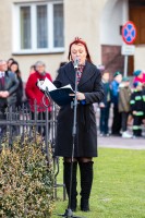 narodowe-swieto-niepodleglosci-2017-fot-k-kosowski.jpg