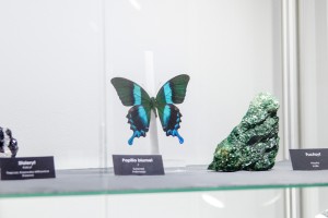 noc-muzeow-2017.jpg