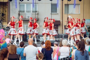 dni-pilzna-2019-cz-3.jpg