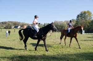zawody-trec-pttk-leki-dolne-2019.jpg