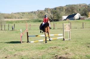 zawody-trec-pttk-leki-dolne-2019.jpg
