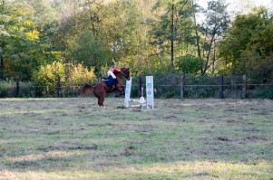zawody-trec-pttk-leki-dolne-2019.jpg