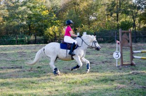 zawody-trec-pttk-leki-dolne-2019.jpg