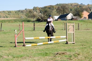 zawody-trec-pttk-leki-dolne-2019.jpg