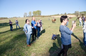 zawody-trec-pttk-leki-dolne-2019.jpg