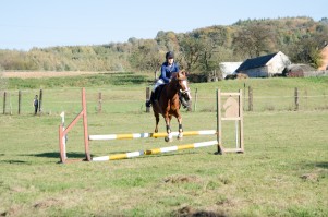 zawody-trec-pttk-leki-dolne-2019.jpg