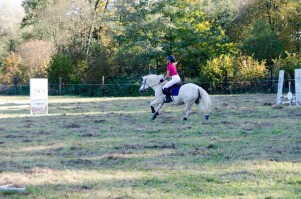 zawody-trec-pttk-leki-dolne-2019.jpg