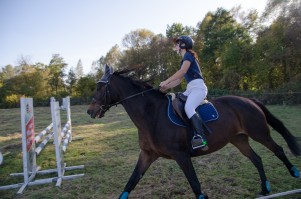 zawody-trec-pttk-leki-dolne-2019.jpg
