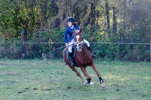 zawody-trec-pttk-leki-dolne-2019.jpg
