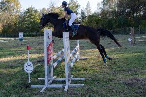 zawody-trec-pttk-leki-dolne-2019.jpg