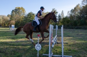 zawody-trec-pttk-leki-dolne-2019.jpg