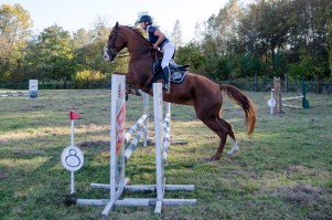 zawody-trec-pttk-leki-dolne-2019.jpg