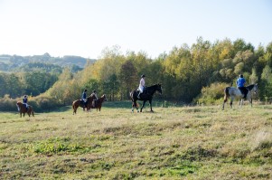 zawody-trec-pttk-leki-dolne-2019.jpg