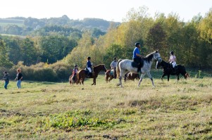 zawody-trec-pttk-leki-dolne-2019.jpg