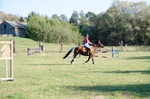 zawody-trec-pttk-leki-dolne-2019.jpg