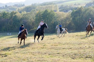 zawody-trec-pttk-leki-dolne-2019.jpg