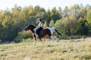 zawody-trec-pttk-leki-dolne-2019.jpg