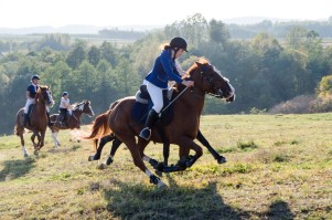 zawody-trec-pttk-leki-dolne-2019.jpg